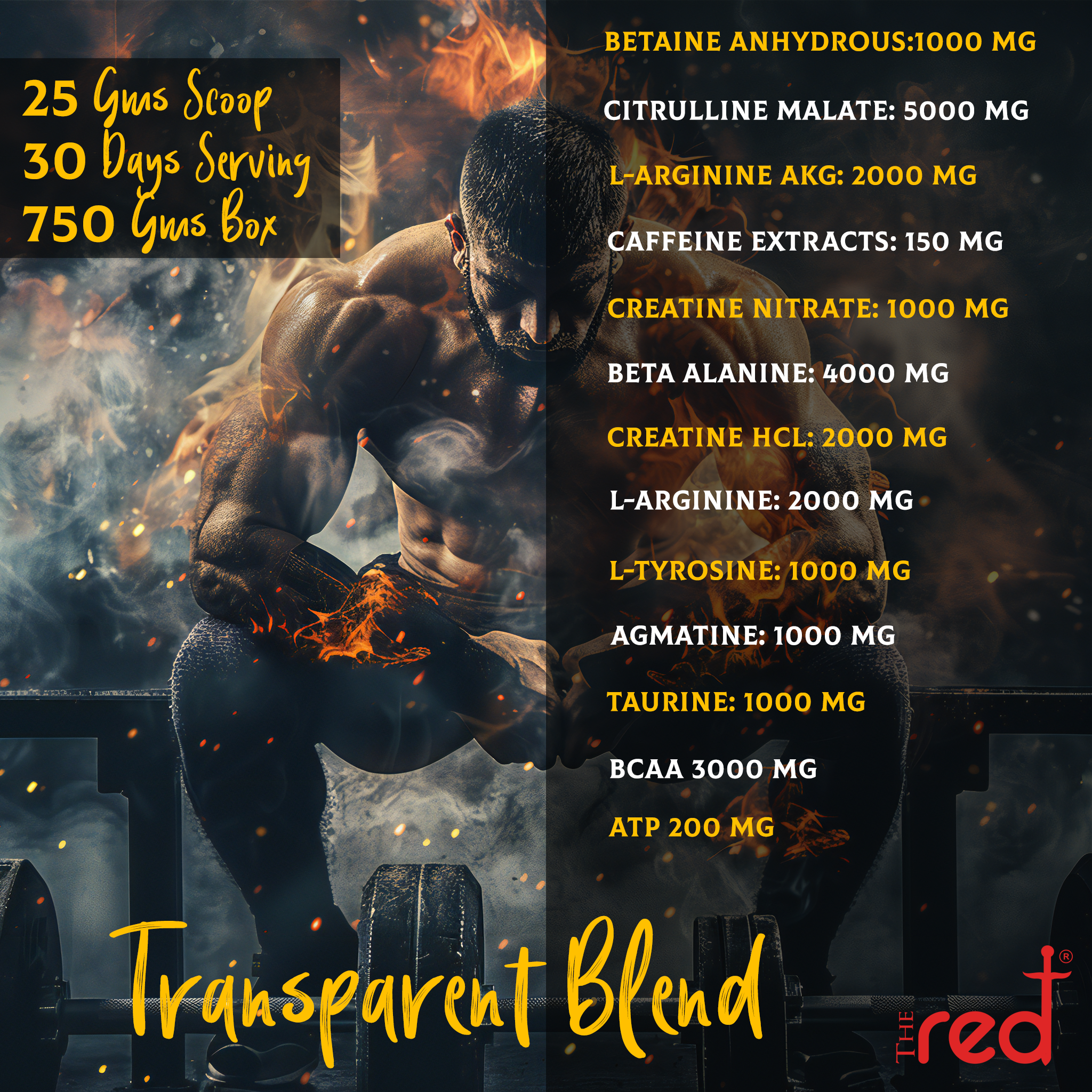 The Red Explosive 3 in1 Preworkout | ATP 200 mg | Heart Health  | Veins Vasodilator | Preloader I Lab Tested I Sugar free I 750 gms / 30 servings